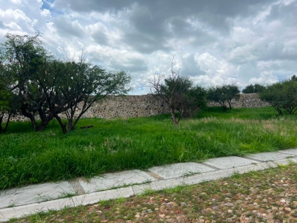 Lote 14.3